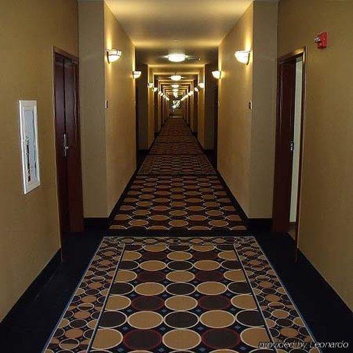 Irish Inn And Suites Muleshoe Εξωτερικό φωτογραφία